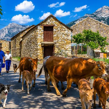 La Lucana Ordesa Ainsa Daire